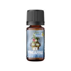 Ice Pineapple Liquido Concentrato Next Flavour by Svaponext da 10 ml