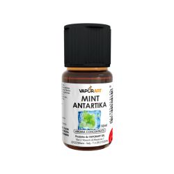 Mint Antartika Vaporart Aroma Concentrato 10ml
